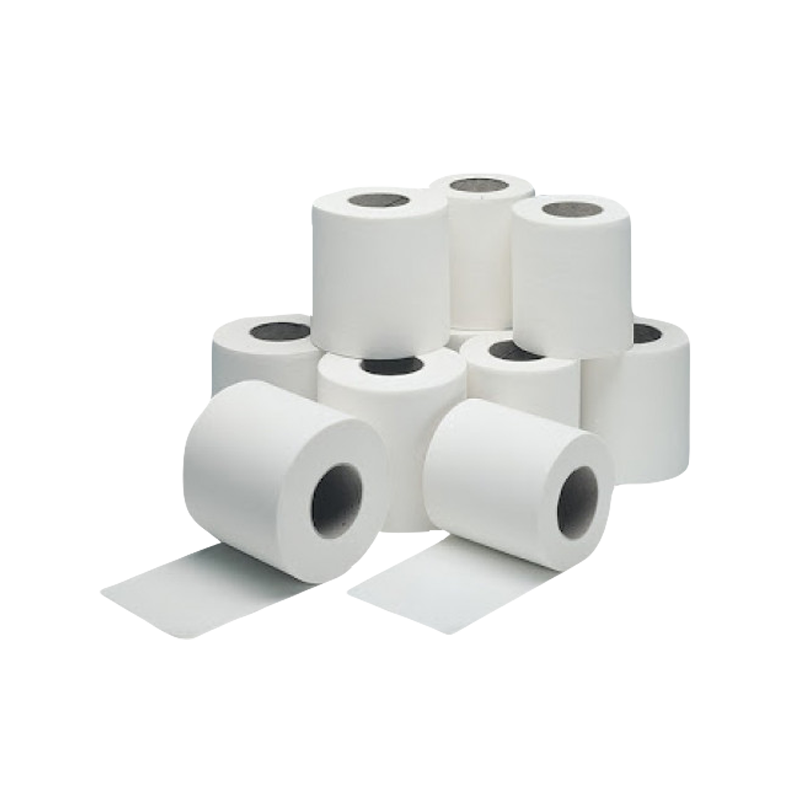 Queenex Plain Toilet Roll 10 x 11 cm, 2 Ply, 400 Sheets (Pack of 100) My Office Supply